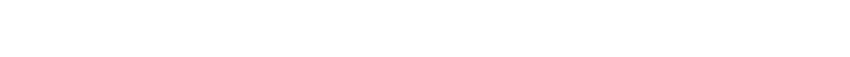 RAILBUS